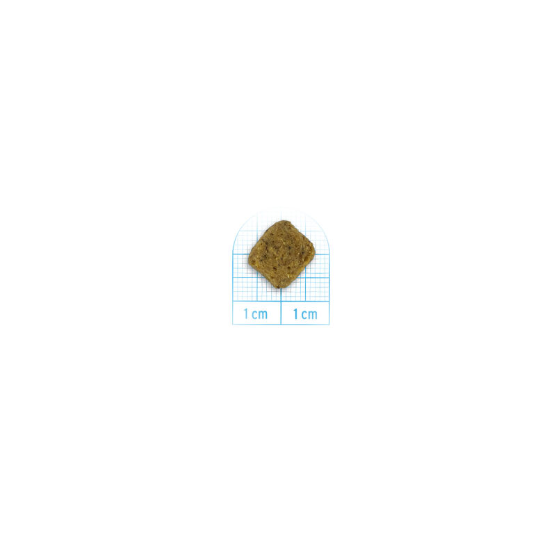 Forza10 MonoDiet Dog Adult Vegetal 10 kg