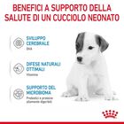 Royal Canin Babydog Milk 400 gr