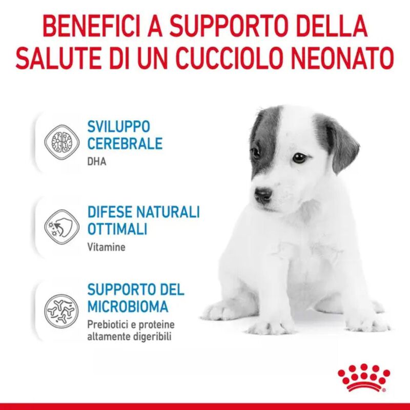 Royal Canin Babydog Milk 400 gr