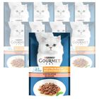 Gourmet Perle Cat Adult Filettini in Salsa con Salmone 85 gr
