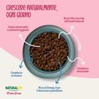 Naturalpet Prime Orme Kitten ricco in Pollo 1,5kg