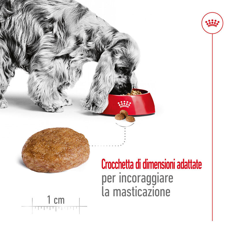 Royal Canin Dog Adult 7+ Medium 15 kg  