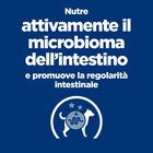 Hill's Prescription Diet Dog Gastrointestinal Biome 4kg