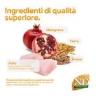 N&D Farmina Ancestral Grain Neutred Cat Pollo & Melograno 300 gr