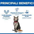 Hill's Science Plan Cat Adult Urinary Health al Pollo 1,5 kg