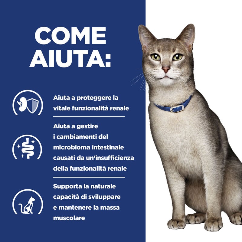 Hill's Prescription Diet Cat k/d Renal Pat&eacute; con Pollo 156 gr