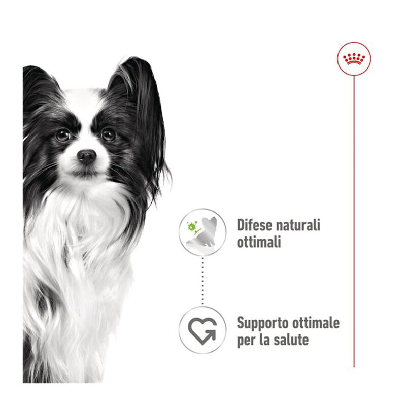 Royal Canin Dog Adult X-small 85gr