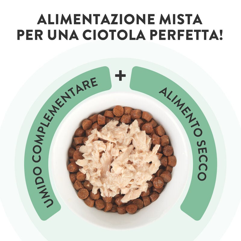 Schesir Soup Cat Tonnetto Carote e Zucca 40g