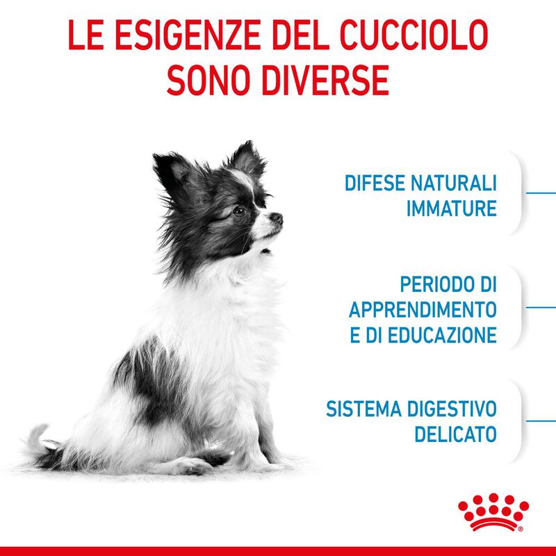 Royal Canin Dog Puppy X-Small 1,5 kg