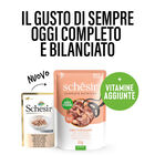 Schesir Cat Adult Tonnetto con Salmone 85 gr