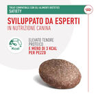 Royal Canin Treats Satiety 230 g