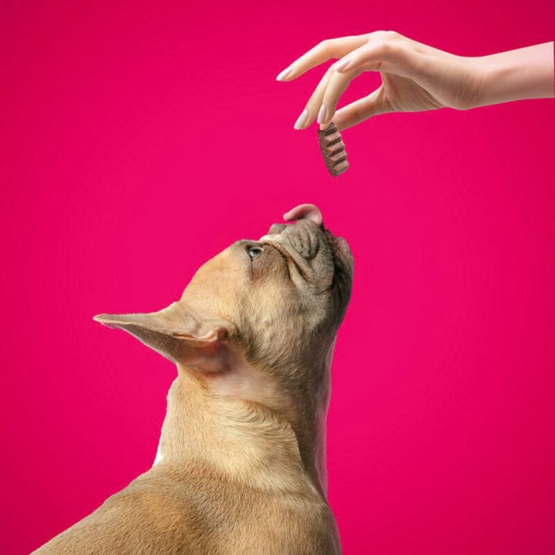 DoggyeBag I Morbidosi con Salmone snack cane 90 gr