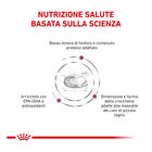 Royal Canin Veterinary Diet Dog Small Renal 1,5 kg