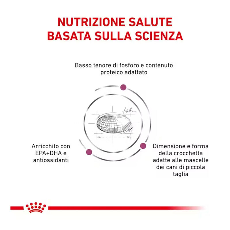 Royal Canin Veterinary Diet Dog Small Renal 1,5 kg