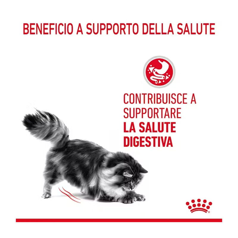 Royal Canin Cat Adult Digest Care in salsa 85 gr