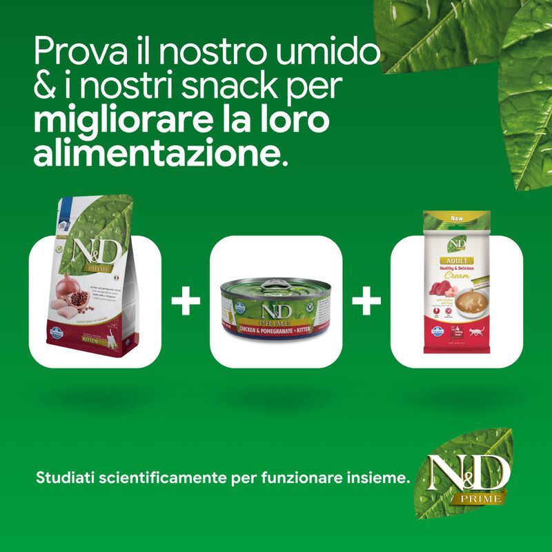 N&D Farmina Prime Kitten Pollo & Melograno 300 gr