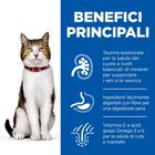 Hill's Science Plan Cat Mature Adult 7+ al Pollo 1,5 kg