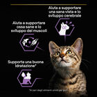 Purina Pro Plan Nutri Savour Cat Junior Pezzetti con Tacchino in Salsa 85 gr