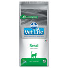 Farmina Vet Life Cat Renal 2 kg