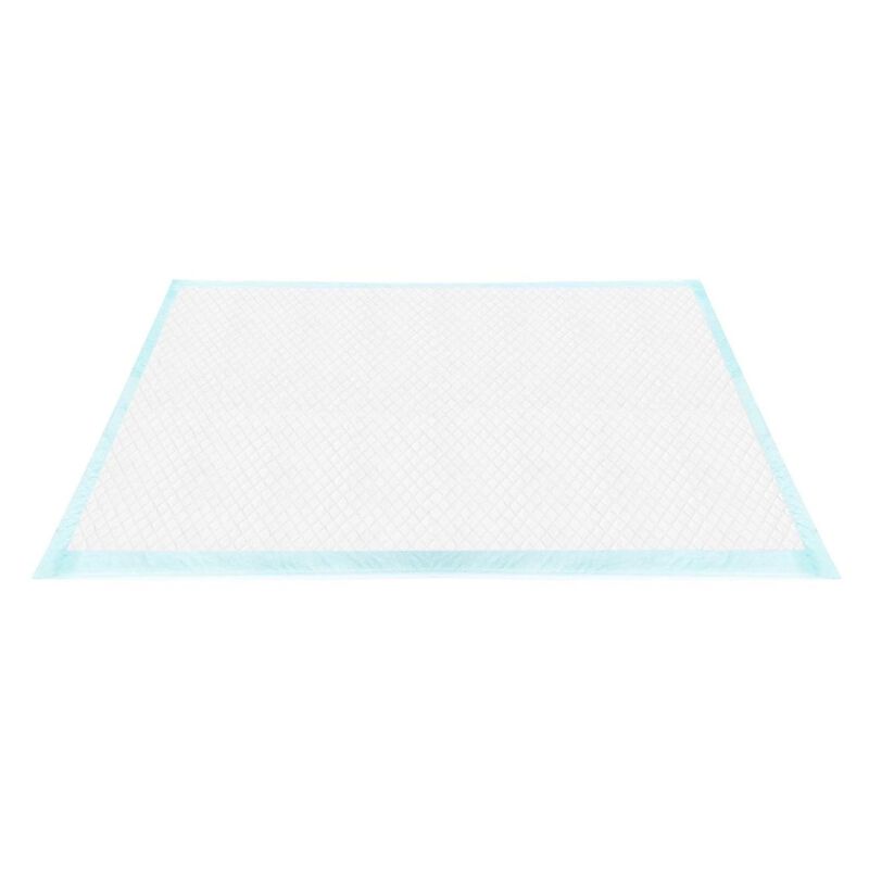 Record Tapiss Tappetini assorbenti carboni attivi 60x90 cm