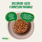 Naturalpet Cat Sterilised Bocconcini in salsa con Salmone 85gr