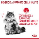 Royal Canin Cat Adult Hair and Skin Care 2 kg