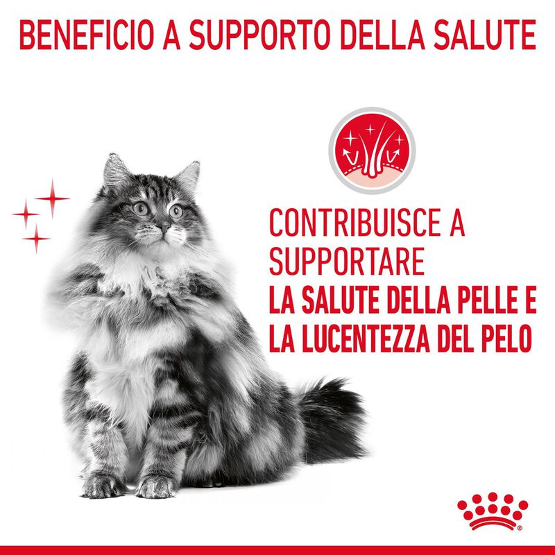 Royal Canin Cat Adult Hair and Skin Care 2 kg