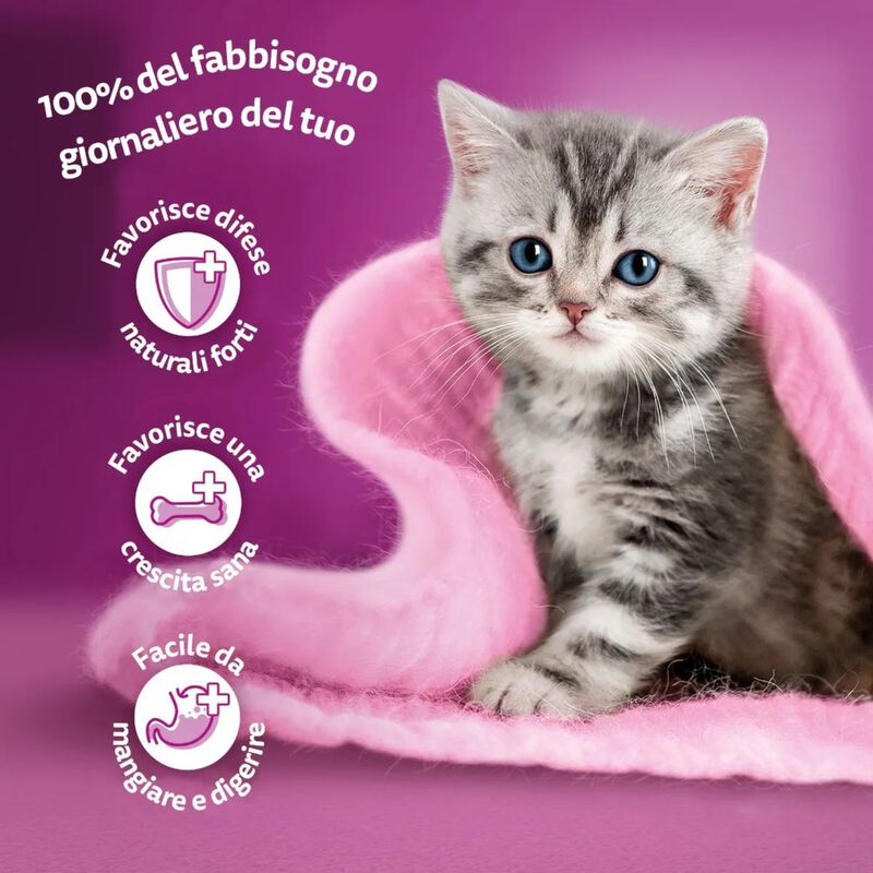 Whiskas Kitten Pranzetti in Salsa con Pollo 6 x 50 gr