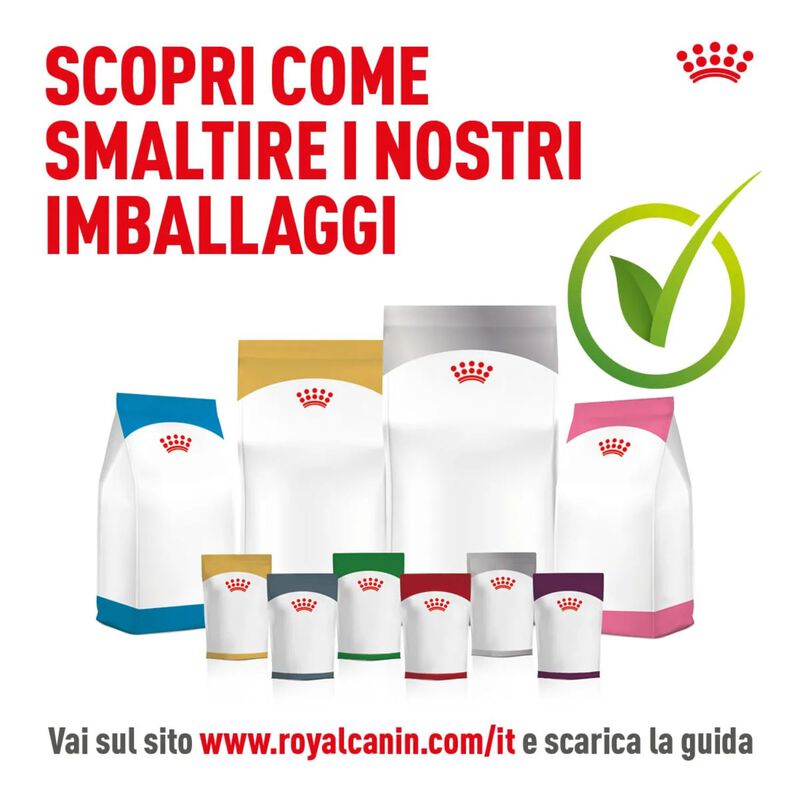Royal Canin Veterinary Diet Cat Renal 2 kg