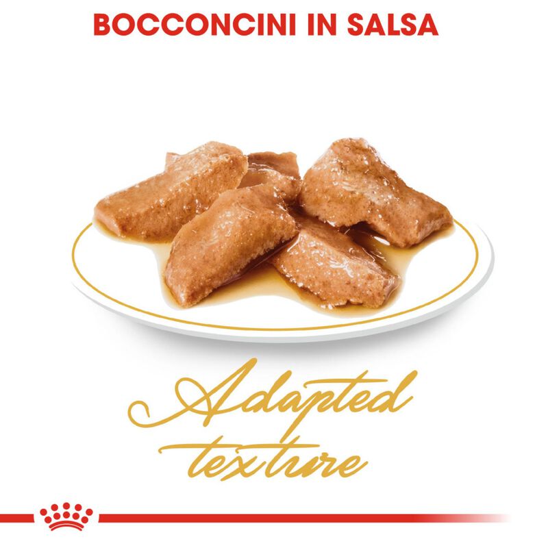 Royal Canin Cat Maine Coon 85 gr