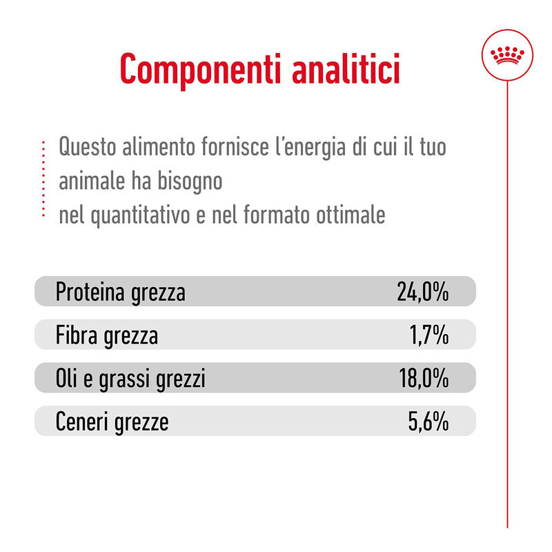 Royal Canin Dog Adult 8+ X-Small 500 gr