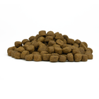 Forza10 Dog Adult Maxi Maintenance con Cervo e patate 12kg
