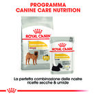 Royal Canin Dog Adult Medium Dermacomfort 3 kg - Scad. Gennaio 26