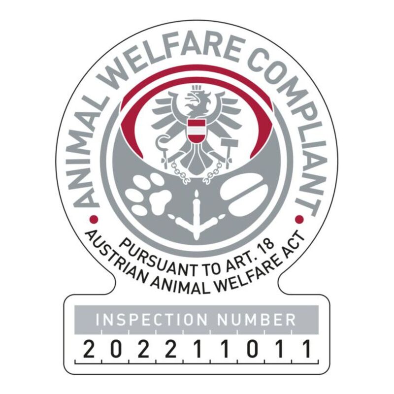 Trixie Ciotola in Ceramica per Gatti color Ciclamino 13 cm