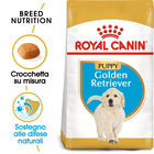 Royal Canin Dog Puppy Golden Retriver 12 kg