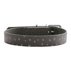 Hunter Collare Convenience Reflect Tg. 50/M Grigio con Stelle image number 0