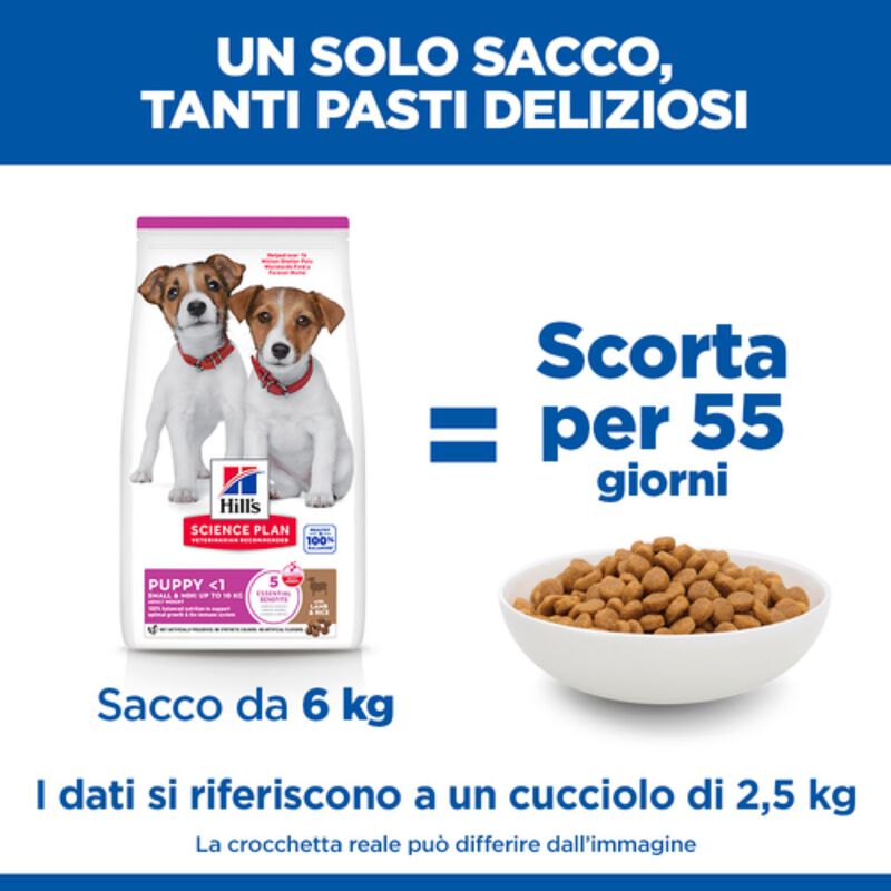 Hill's Science Plan Puppy Small & Mini con Agnello e Riso 1,5 kg
