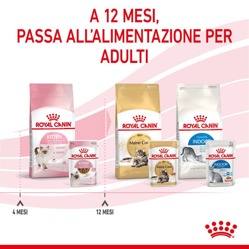 Royal Canin Kitten in Salsa 85 gr