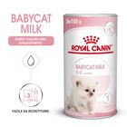 Royal Canin BabyCat Kitten Milk 300 gr - Scad. Gennaio 26