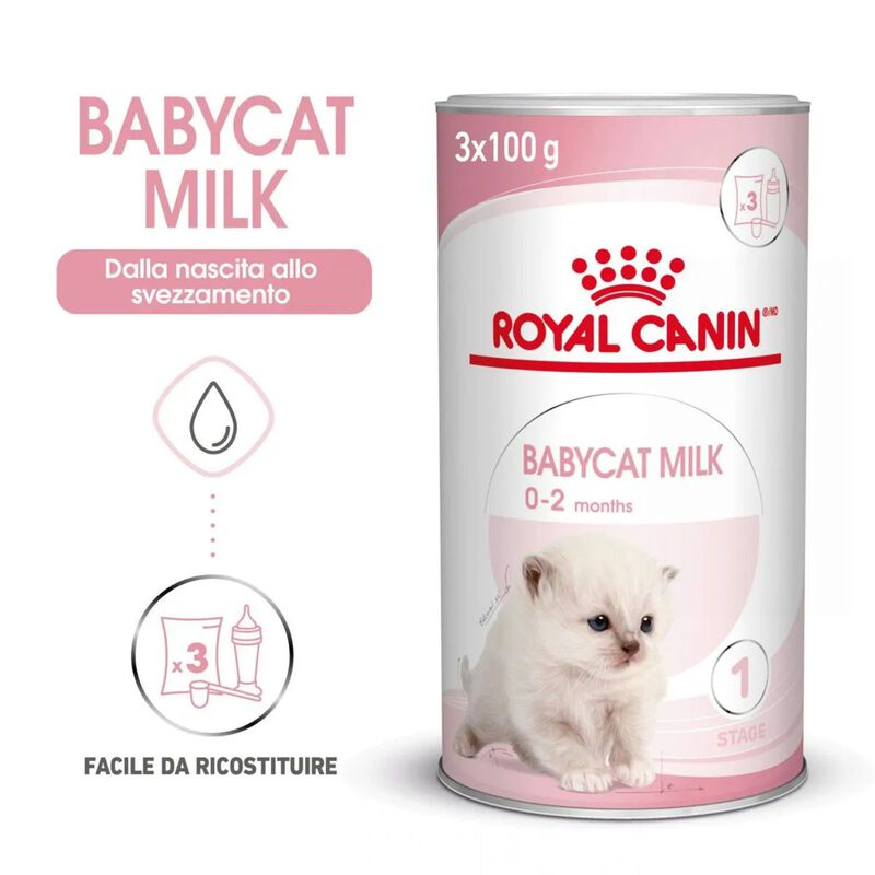 Royal Canin BabyCat Kitten Milk 300 gr - Scad. Gennaio 26