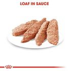 Royal Canin Dog Adult Digestive Care 85 gr