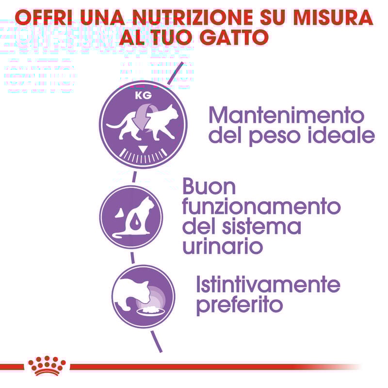 Royal Canin Cat Adult Sterilised in Salsa 85gr 