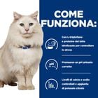 Hill's Prescription Diet Cat c/d Multicare Stress Urinary Care Spezzatino con Pollo e Verdure 82 gr