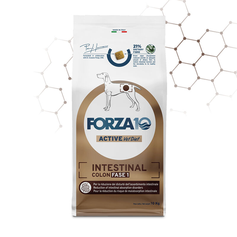 Forza10 Active Vet Diet Dog Adult Intestinal Colon Fase1 10 Kg