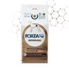 Forza10 Active Vet Diet Dog Adult Intestinal Colon Fase1 10 Kg image number 0