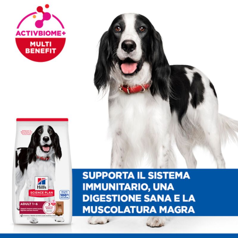 Hill's Science Plan Dog Adult Medium con Agnello e Riso 2,5 kg