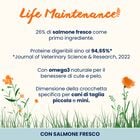 Almo Nature Life Maintenance Crocchette per cani adulti tg S con Salmone 2 kg