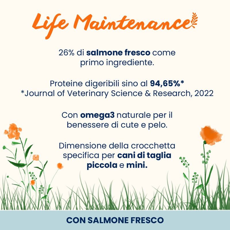 Almo Nature Life Maintenance Crocchette per cani adulti tg S con Salmone 2 kg