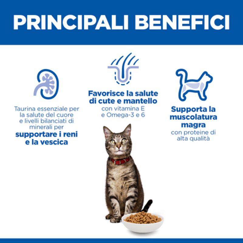 Hill's Science Plan Cat Adult con Agnello 7 kg