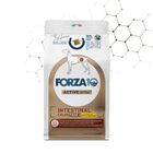 Forza10 Active Vet Diet Dog Adult Intestinal Colon Fase 2 Agnello 1,5 kg